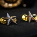 Col. Hyman’s promotion ceremony to brigadier general