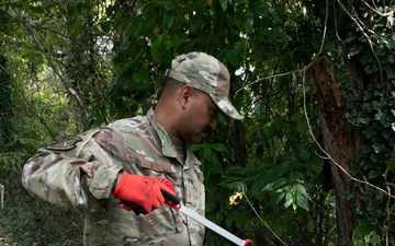 DC National Guard Beautification on Gainesville Street SE