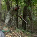 DC National Guard Beautification on Gainesville Street SE
