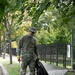 DC National Guard Beautification on Gainesville Street SE