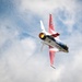 Home sweet home: Viper Demo Team performs at commander's home state