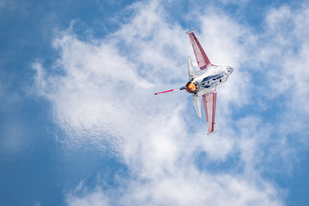 Home sweet home: Viper Demo Team performs at commander's home state