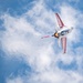 Home sweet home: Viper Demo Team performs at commander's home state