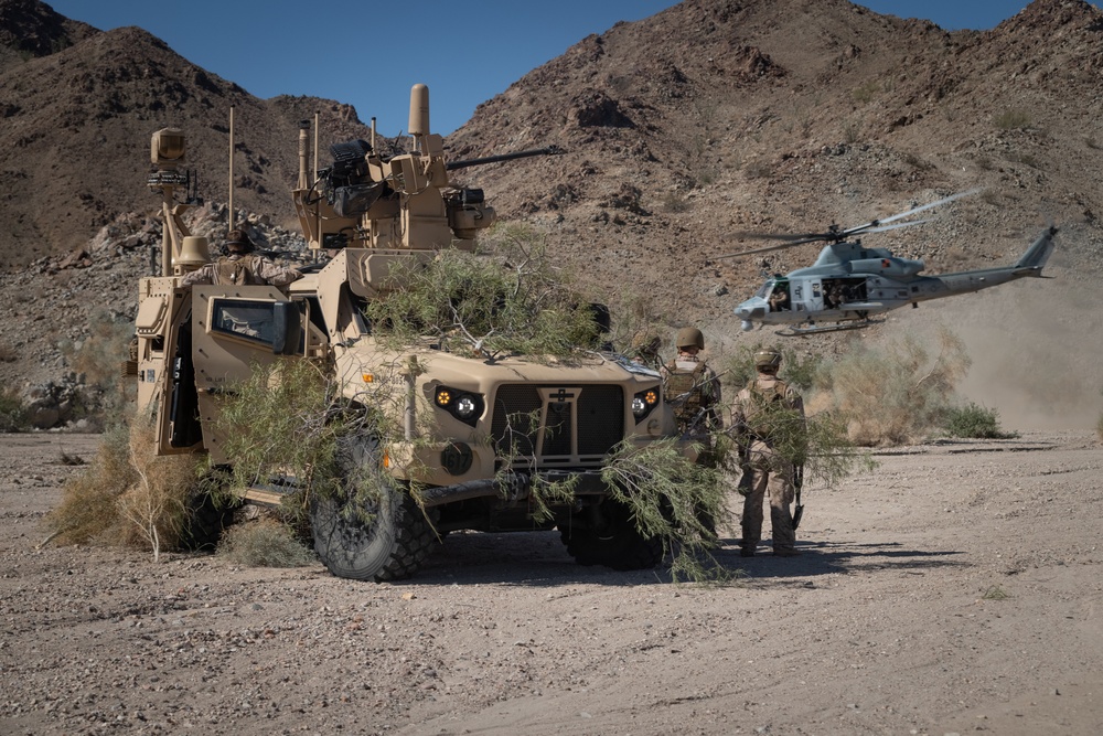 WTI-1-26: Venom and Viper Take Down Unmanned Aircraft System