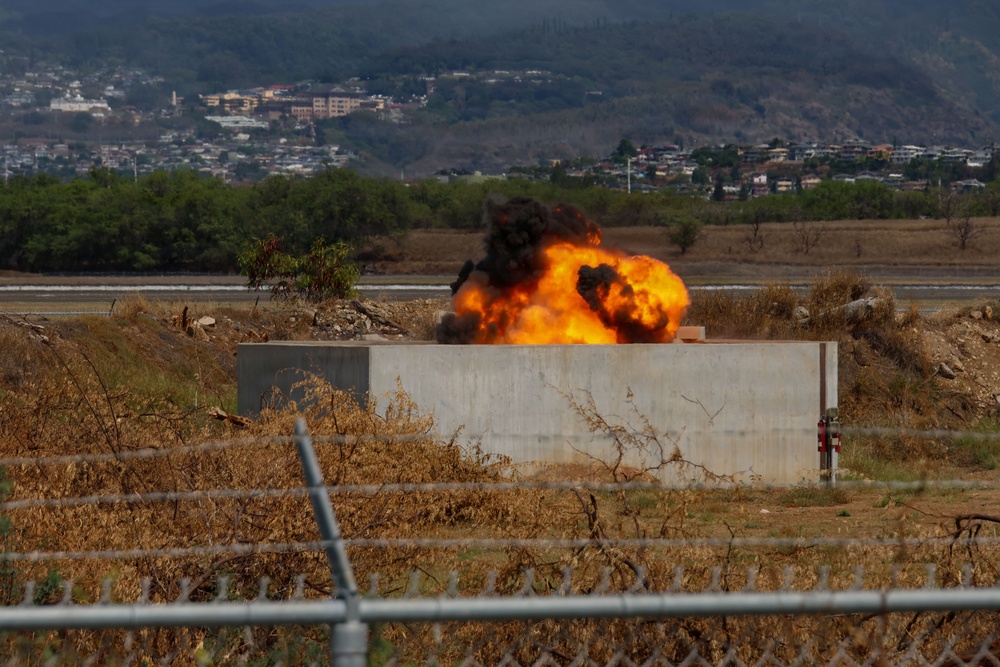 MWSS-174 train with 74th EOD Company and 154th CES