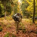 1-502IN, 2nd Brigade, 101st Airborne Conduct Defensive Operations