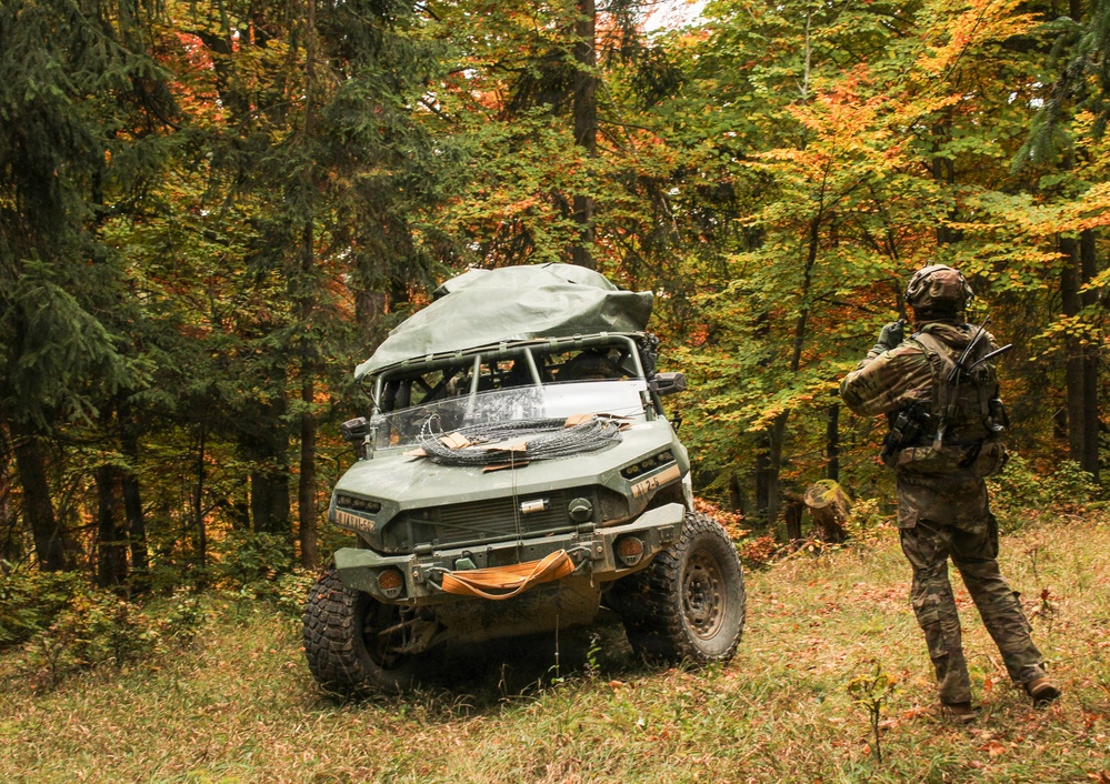 1-502IN, 2nd Brigade, 101st Airborne Conduct Defensive Security Operations