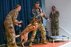 MWD Rudy and Torro retirement ceremony at Peterson SFB [Image 6 of 8]