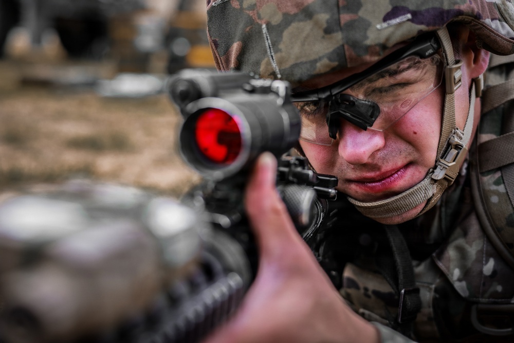 Operation Tiger Dawn