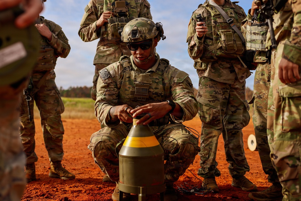 Operation Tiger Dawn