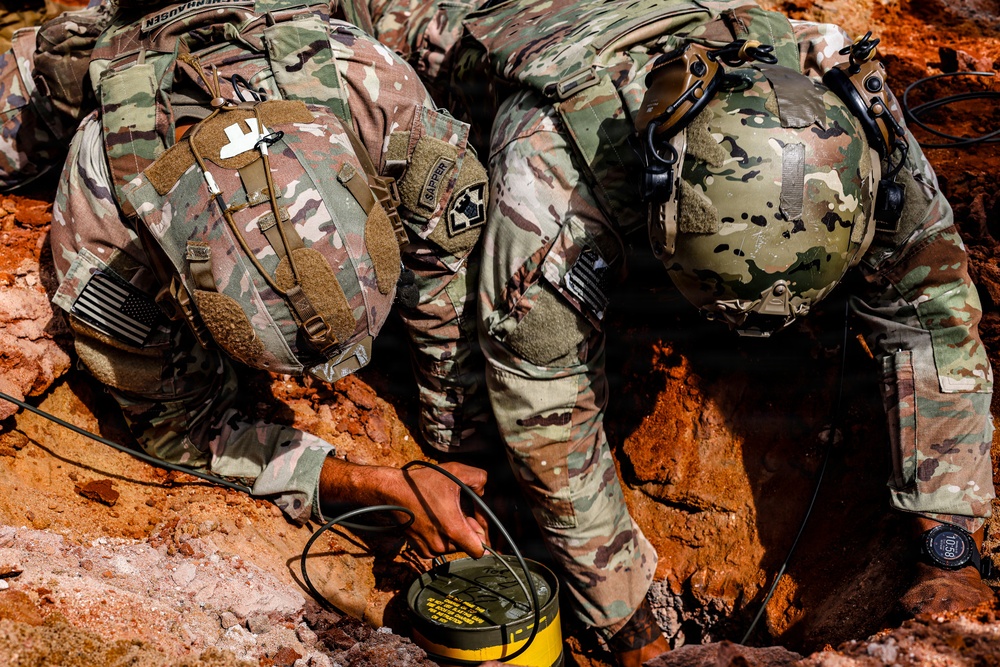 Operation Tiger Dawn