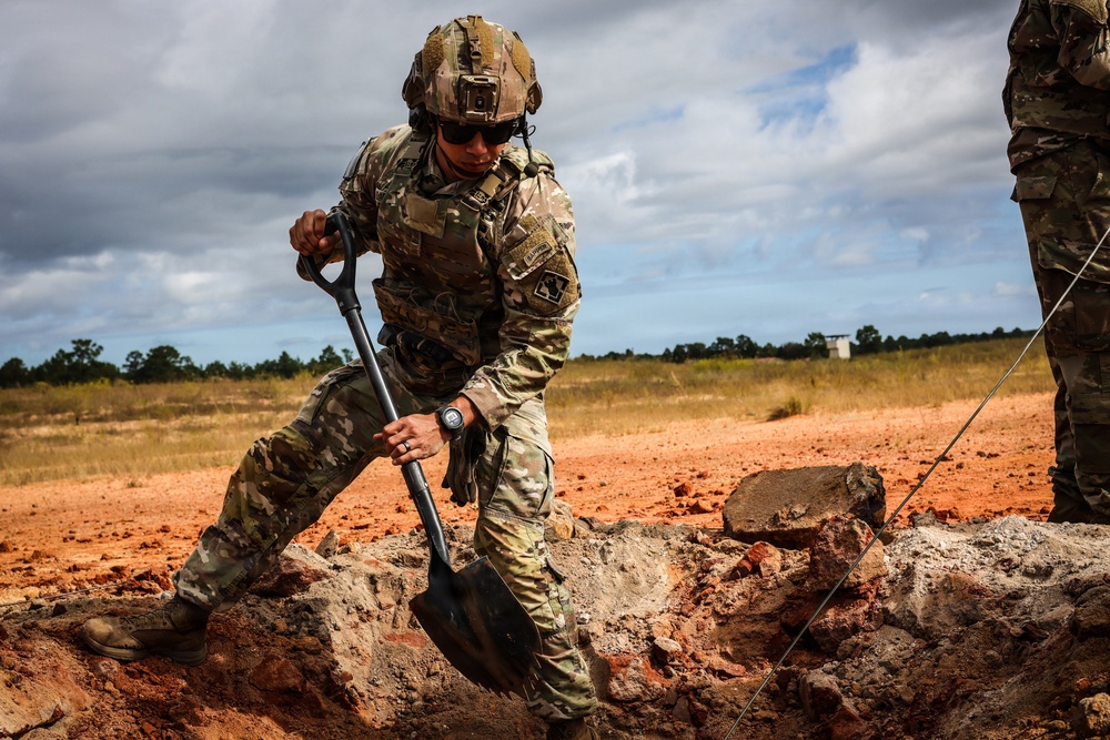 Operation Tiger Dawn