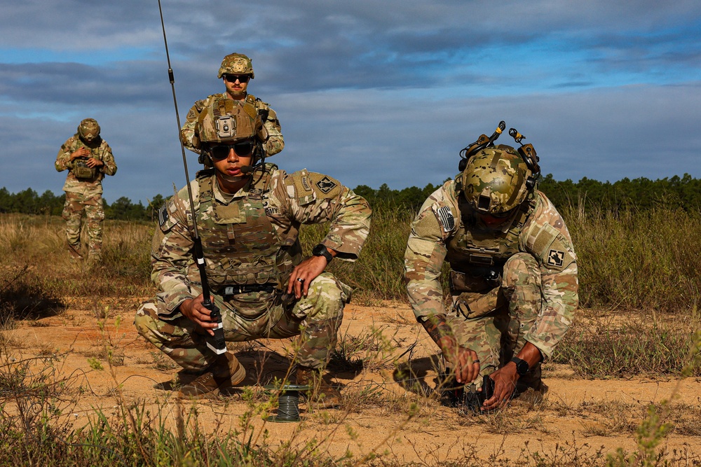 Operation Tiger Dawn