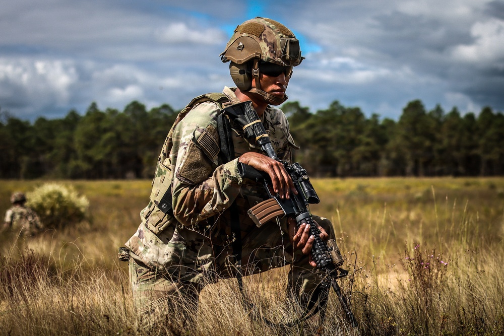 Operation Tiger Dawn