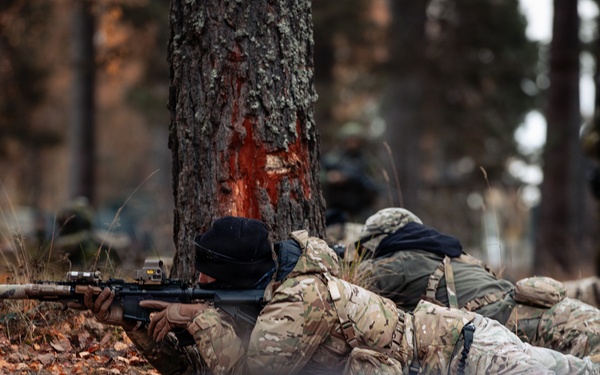 10th SFG conducts squad tactics with Swedish Rangers during ASP 26