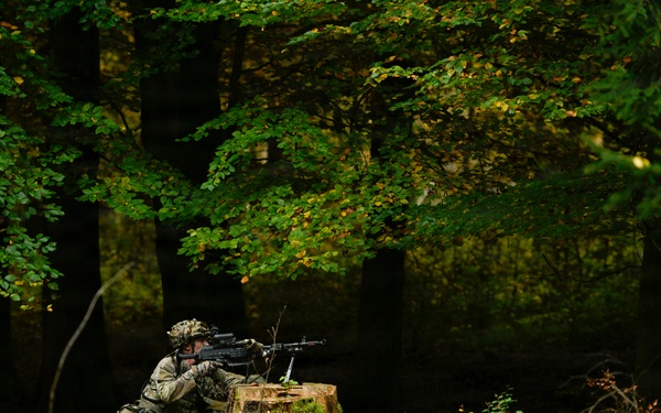 101st Airborne Division Soldiers Strengthen Interoperability During Combined Resolve 26-1