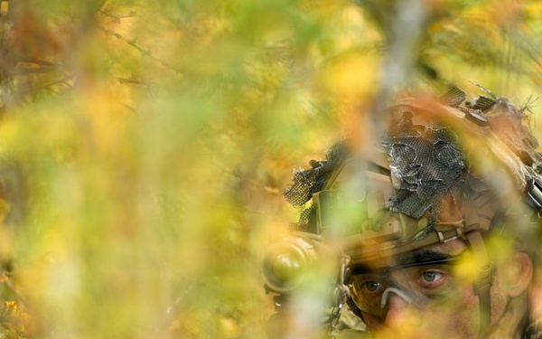101st Airborne Division Soldiers Strengthen Interoperability During Combined Resolve 26-1