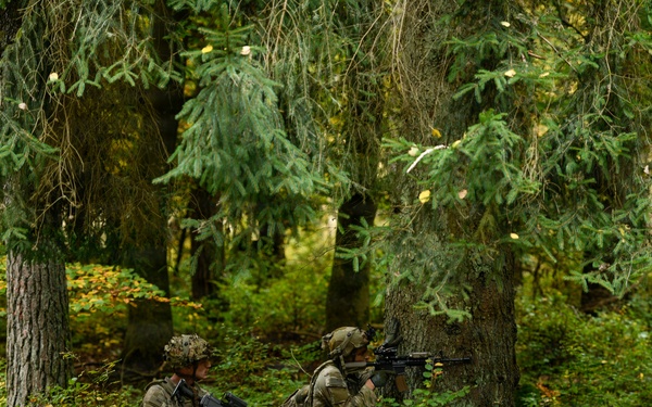 101st Airborne Division Soldiers Strengthen Interoperability During Combined Resolve 26-1