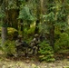 101st Airborne Division Soldiers Strengthen Interoperability During Combined Resolve 26-1
