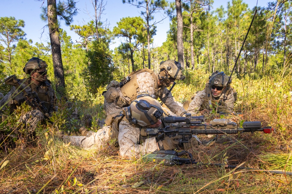 2nd Marine Regiment MCCRE: Force on Force