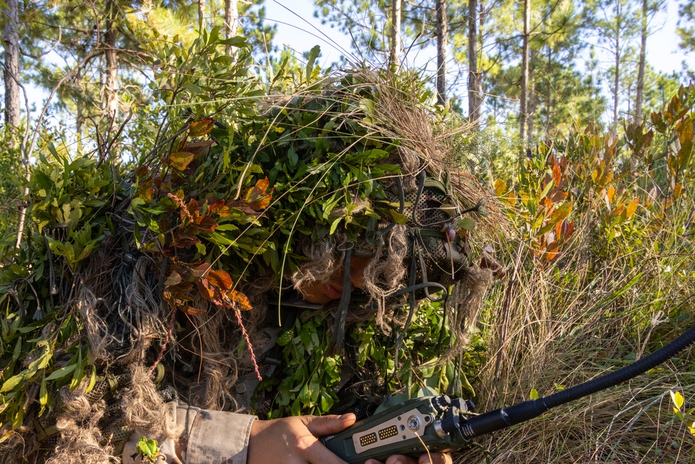 2nd Marine Regiment MCCRE: Force on Force