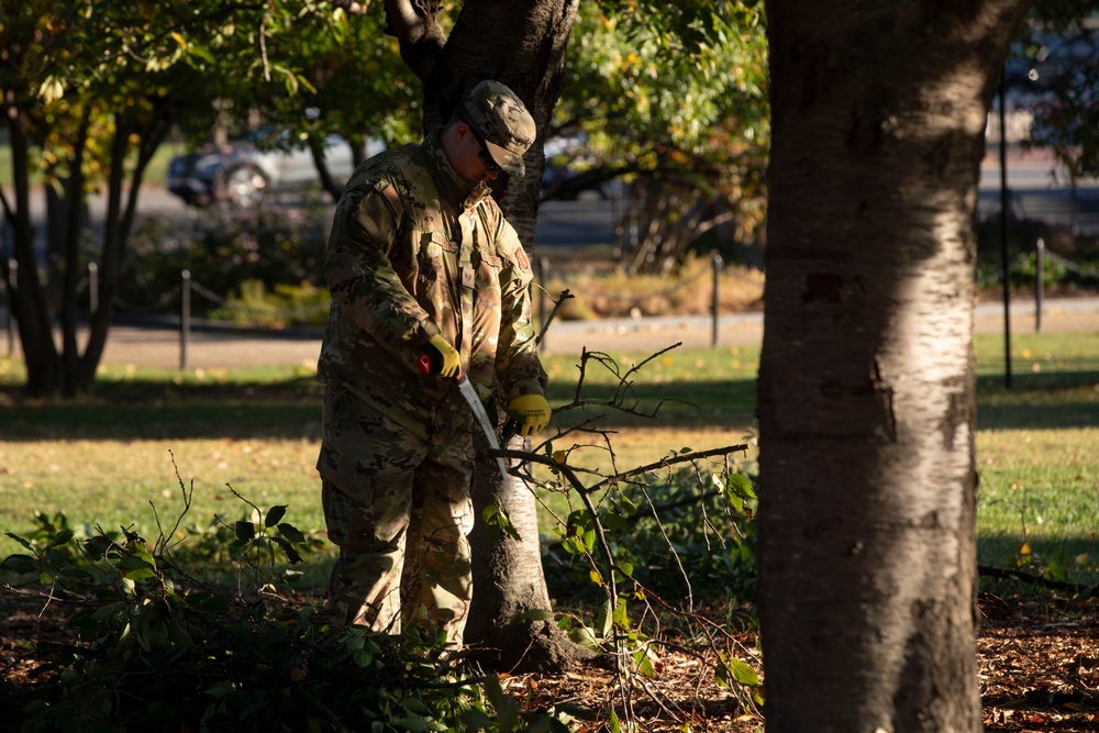 Beautification at the Washington Monument
