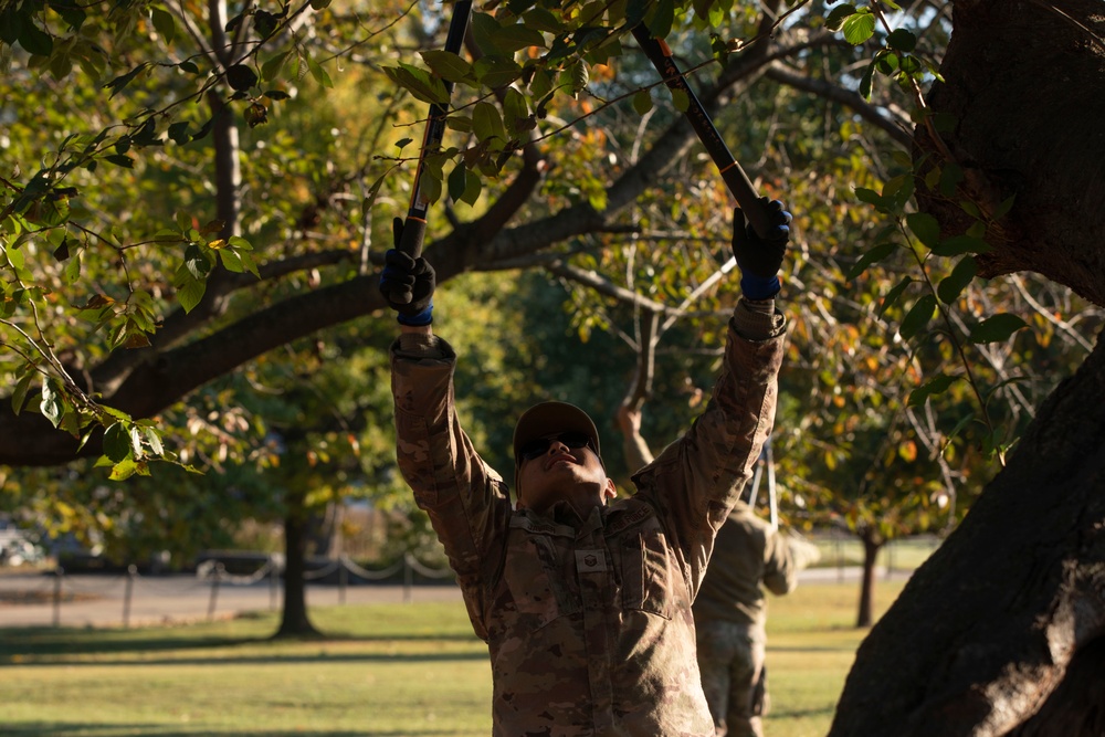 Beautification at the Washington Monument