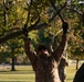 Beautification at the Washington Monument