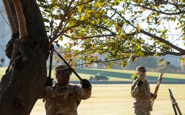 Beautification at the Washington Monument
