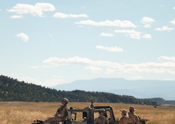 66th WPS supports 29th WPS at Red Devil Landing Zone