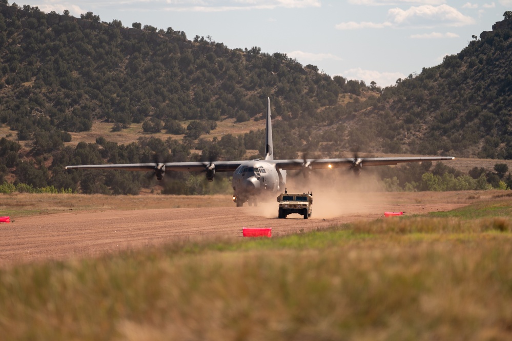 66th WPS supports 29th WPS at Red Devil Landing Zone