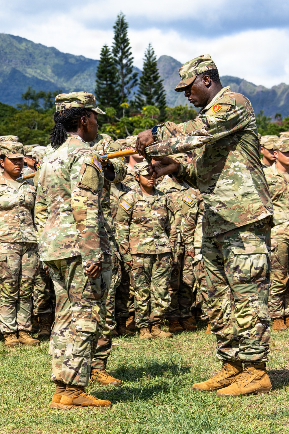 225th Brigade Support Battalion Case Company Colors