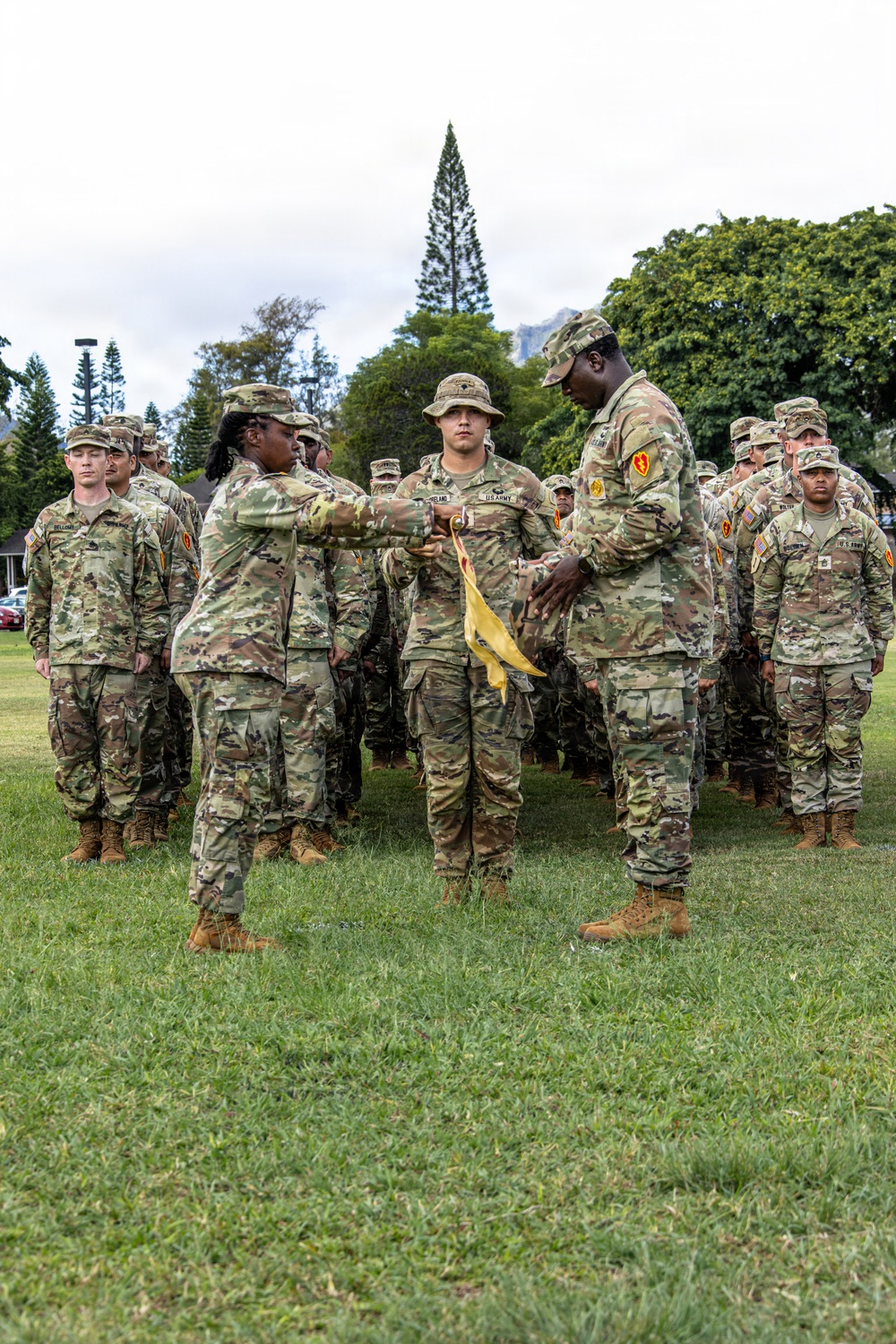 225th Brigade Support Battalion Uncase Company Colors