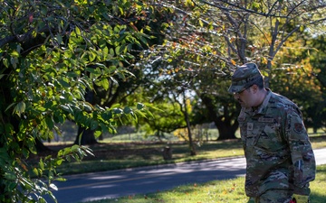 JTF-DC Cleans Up Hains Point