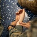 22nd MEU(SOC) | CLB 26 Marines Conduct TCCC Training Aboard San Antonio