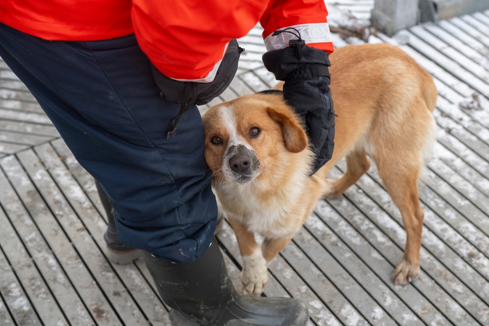 Coast Guard conducts post-storm assessments, cleanup operations in western Alaska