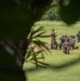 Combined Jungle Operations Training Course Ambush Techniques