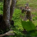 Combined Jungle Operations Training Course Ambush Techniques