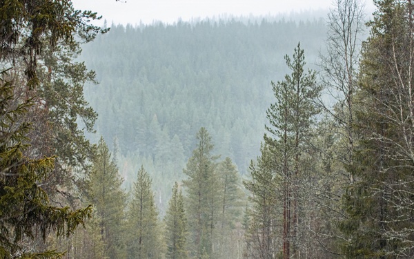 Swedish rangers and U.S. SOF conduct squad movements during ASP 26