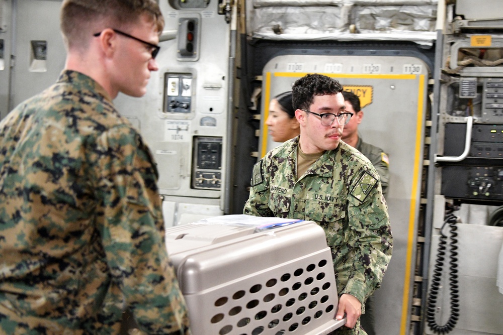 NAS Pensacola Assists Naval Station Guantanamo Bay Non-Mission Essential Personnel Ahead of Hurricane Melissa NAS Pensacola Assists Naval Station Guantanamo Bay Non-Mission Essential Personnel Ahead of Hurricane Melissa