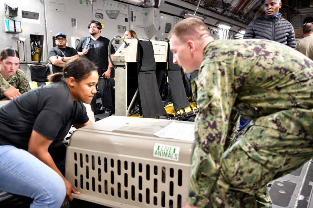 NAS Pensacola Assists Naval Station Guantanamo Bay Non-Mission Essential Personnel Ahead of Hurricane Melissa NAS Pensacola Assists Naval Station Guantanamo Bay Non-Mission Essential Personnel Ahead of Hurricane Melissa