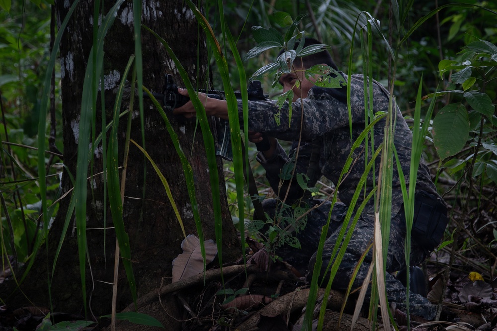 Combined Jungle Operations Training Course Ambush Mission Combined Jungle Operations Training Course Ambush Mission