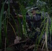 Combined Jungle Operations Training Course Ambush Mission
