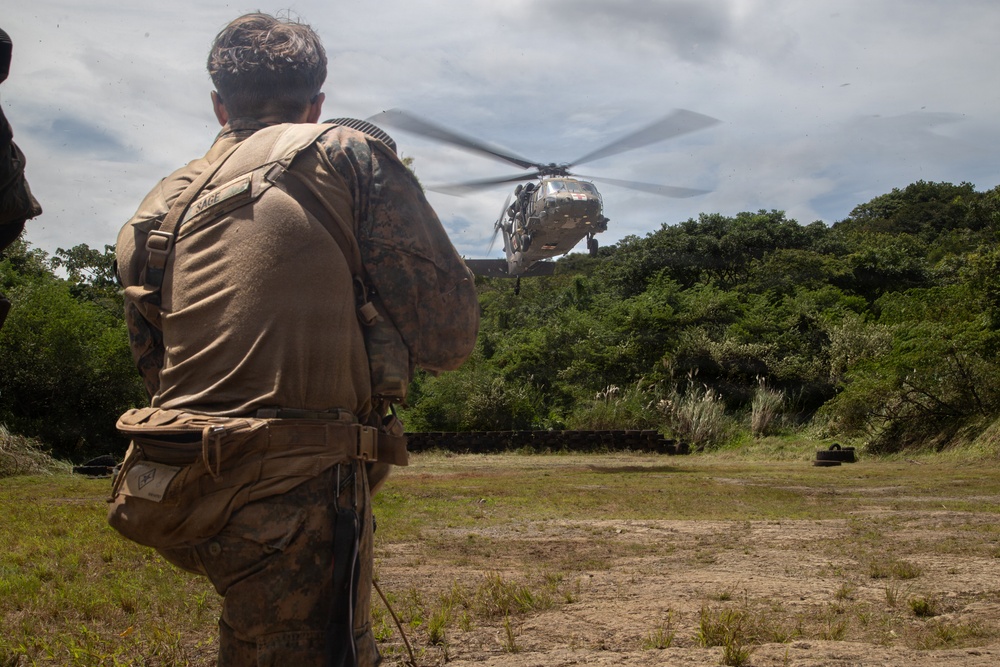 Combined Jungle Operations Training Course Ambush Mission Combined Jungle Operations Training Course Ambush Mission