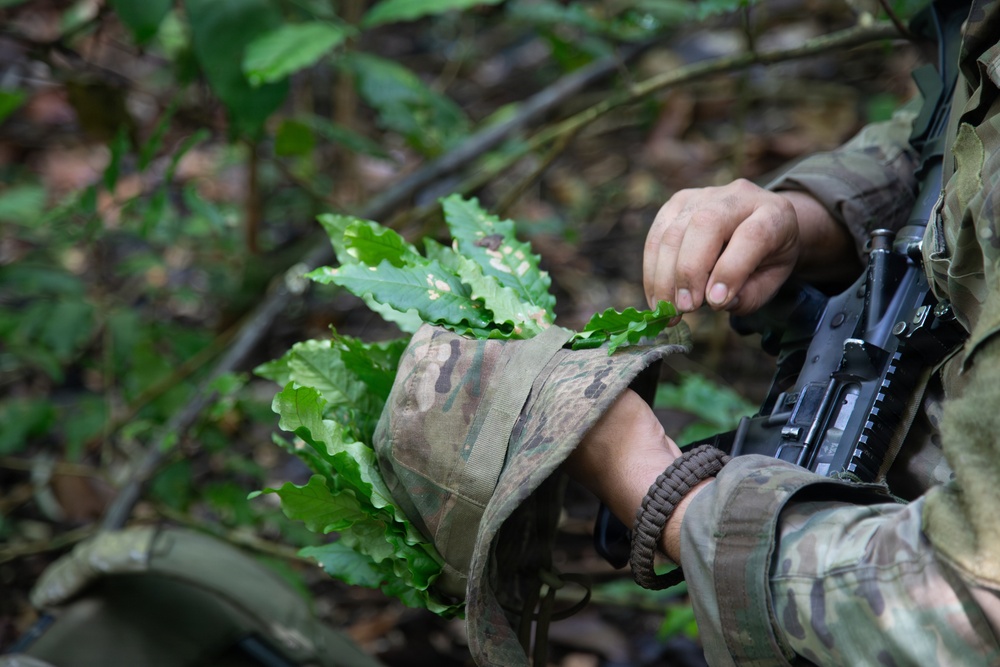 Combined Jungle Operations Training Course Ambush Mission Combined Jungle Operations Training Course Ambush Mission