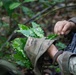 Combined Jungle Operations Training Course Ambush Mission