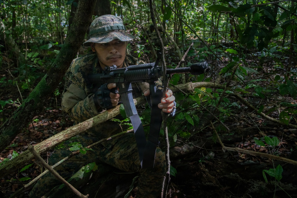 Combined Jungle Operations Training Course Ambush Mission Combined Jungle Operations Training Course Ambush Mission