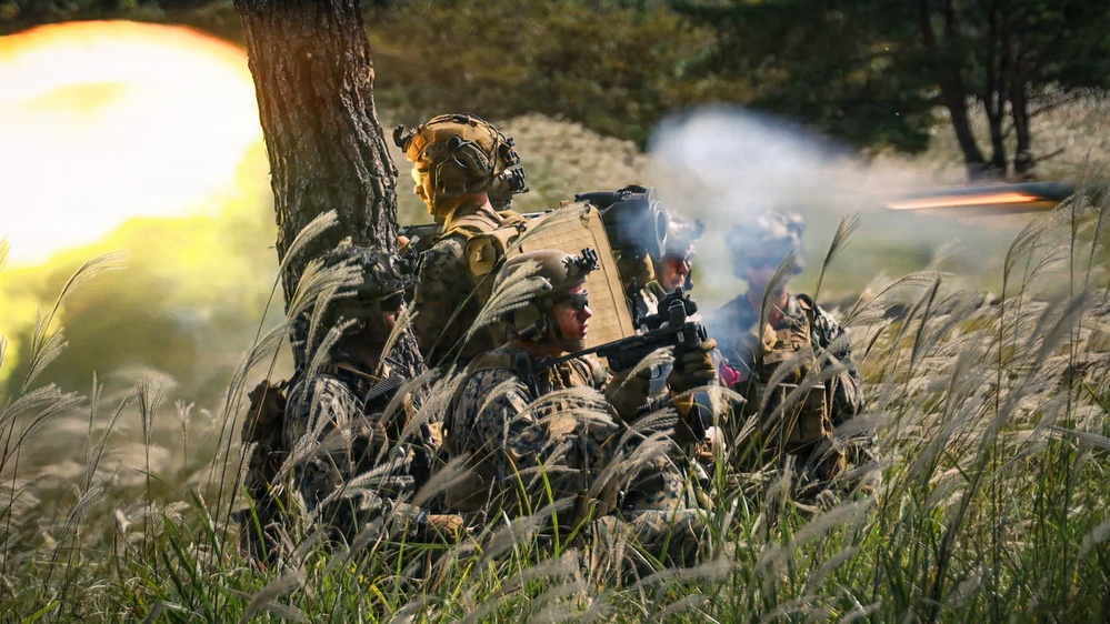 31st MEU | BLT 1/7 conducts Platoon Attacks
