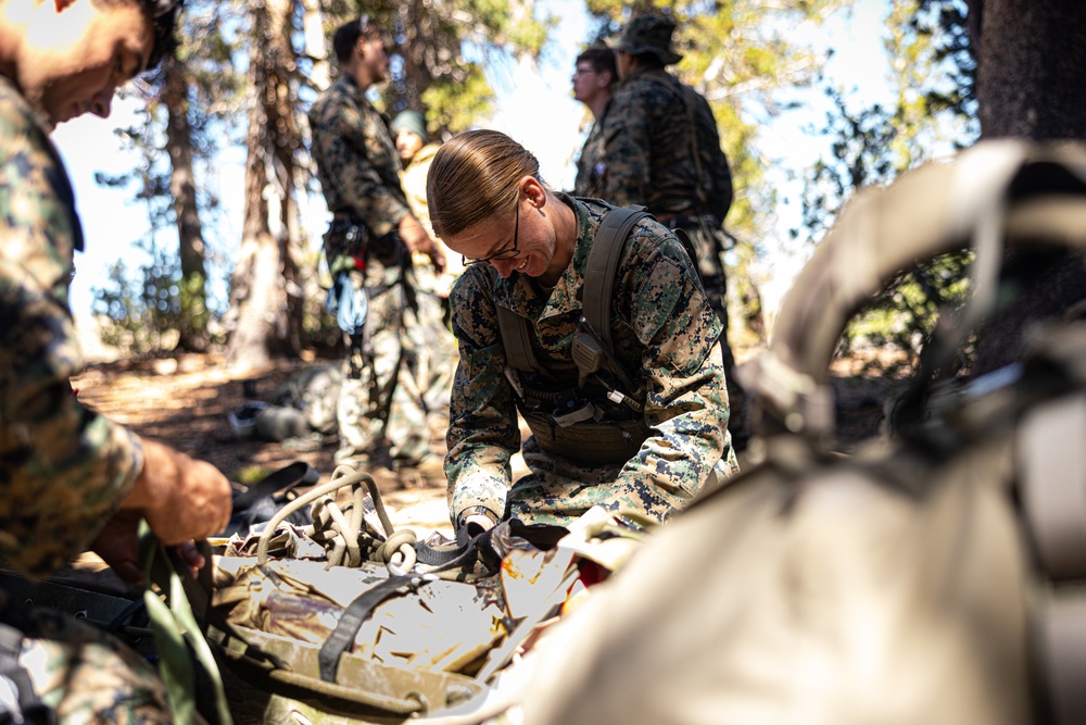 U.S. service members conduct CASEVAC during Mountain Medicine 3-25 final exercise