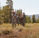 U.S. service members conduct CASEVAC during Mountain Medicine 3-25 final exercise